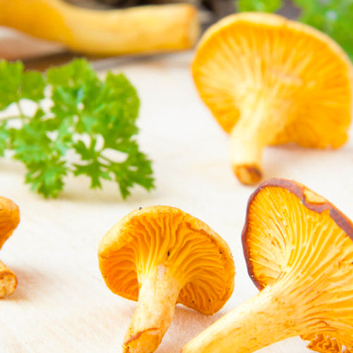 Discover our recipe Pan fried wild mushrooms CRISTEL USA